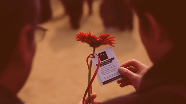 Petons de pel·lícula